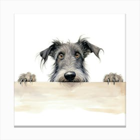 Scottish Deerhound 1 Canvas Print