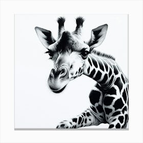 Giraffe Canvas Print