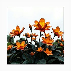 Orange Lotus Flower Canvas Print