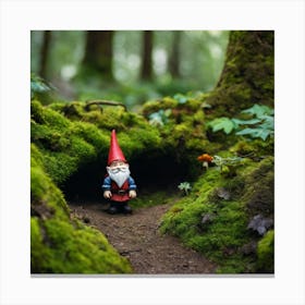 Gnome In The Forest Canvas Print