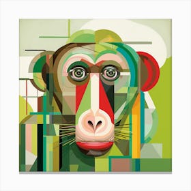 Monkey Face Canvas Print