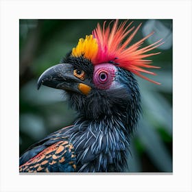 Colorful Hornbill Canvas Print