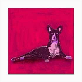 Dog in pink 1 Canvas Print