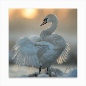 Sunset Swan 1 Canvas Print