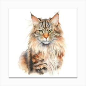 Highlander Cat Portrait 3 Canvas Print