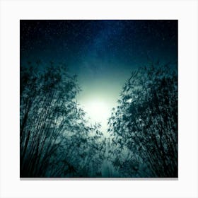 Firefly 8k, Top Quality, Live Action, Center, Dark, Night, Midnight, Starry Sky, Bamboo, Dense, Fog, Canvas Print