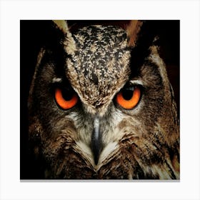 Owl With Orange Eyes Canvas Print