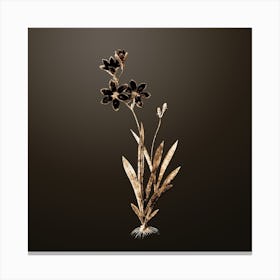 Gold Botanical Ixia Grandiflora on Chocolate Brown Canvas Print