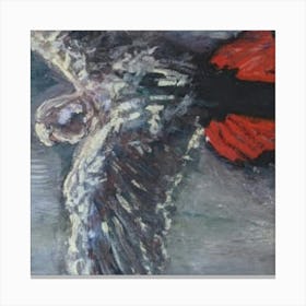 Eagle In Flight Canvas Print