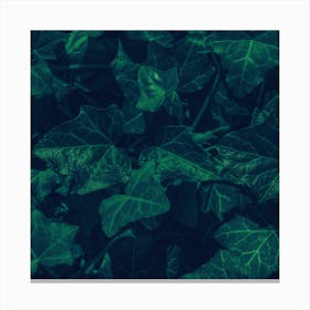 Ivy In The Park Canvas Print