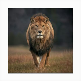 Lion Walking Canvas Print