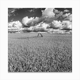 Wheat Field (Owsten Ferry . UK . 2008) Canvas Print