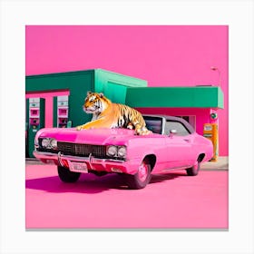 Tiger on a pink car Canvas Print