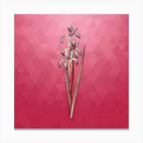 Vintage Blue Iris Botanical in Gold on Viva Magenta n.0303 Canvas Print