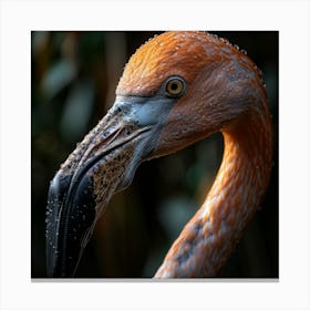 Flamingo 62 Canvas Print