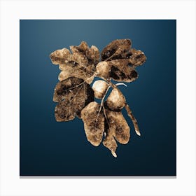 Gold Botanical Common Fig on Dusk Blue n.4874 Canvas Print