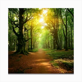 Firefly Enchanted Magical Forest Background 77865 Canvas Print