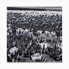 Tulips In The Field 1 Canvas Print