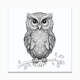 Owl On A Branch Canvas Print