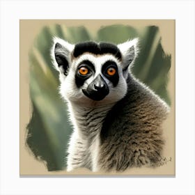 Lemur 14 Canvas Print