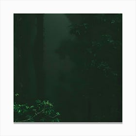 Two People In The Forest Canvas Print