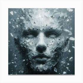 Shattered Face 2 Canvas Print