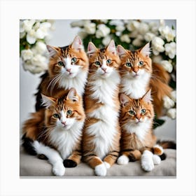 Group Of Cats 2 Canvas Print