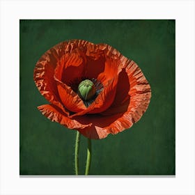 Red Poppy Canvas Print