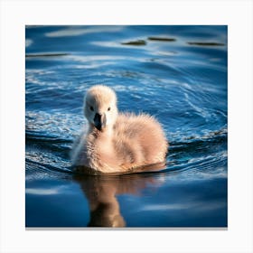 Firefly Adorable Fluffy Cygnet Swimming In Tranquil Lake 74835 (2) Canvas Print