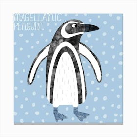 Magellanic Penguin 1 Canvas Print