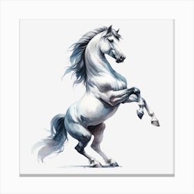 White Horse 2 Canvas Print