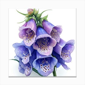 Foxglove Stampe su tela