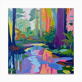 Colourful Abstract Everglades National Park Usa 5 Canvas Print