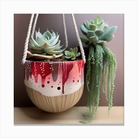 Succulents in Macrame Hanging Dripping Pot Canvas Print