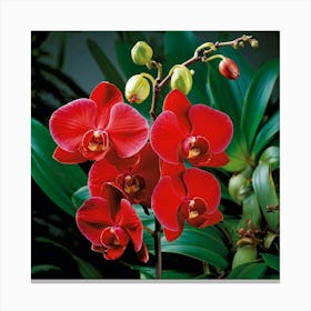 Orchids Mid Explosion Petals Unfurling Like A Dynamic Cascade Of Vivid Red And Tropical Hues Radia Canvas Print