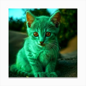 Green Kitten With Orange Eyes Canvas Print