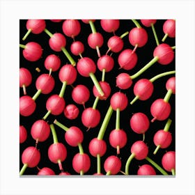 Red Berries On Black Background Canvas Print