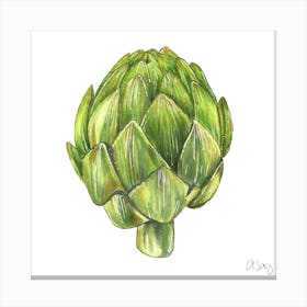 Artichoke Canvas Print