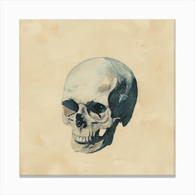 Skull Of A Man Canvas Print