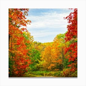 Autumn Frame Embracing Bright Foliage Maple Leaves Transitioning From Green To Vivid Shades Of Oran (6) Canvas Print