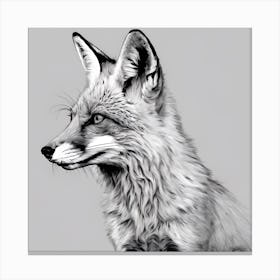 Fox Drawing Canvas Print