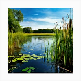 Grass Plant Vegetation Water Reed Calm Cane Season Scene Green Tranquil Background Natur (13) Canvas Print