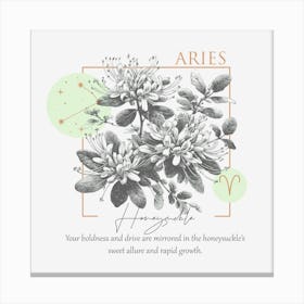 Aries Of The Zodiac. Canvas Print