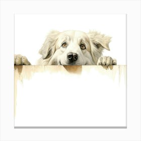 Dog Looking Over A Fence Canvas Print