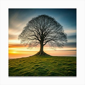 Lone Tree At Sunset 1 Canvas Print