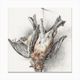 Two Dead Birds, Jean Bernard Canvas Print