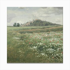 Poppy Field 1 Canvas Print