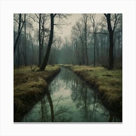 Stream In The Forest 1 Canvas Print