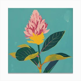 Celosia 2 Square Flower Illustration Canvas Print