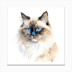 Birman Cat Portrait Canvas Print